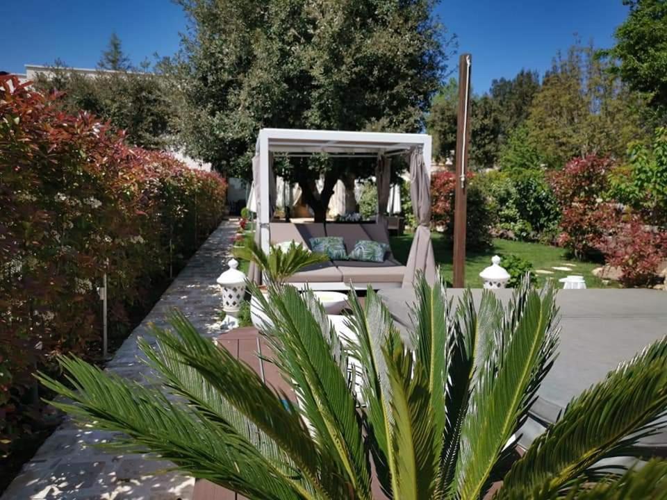 Apulia Dream B&B Le Lamie di Olimpe Eksteriør billede